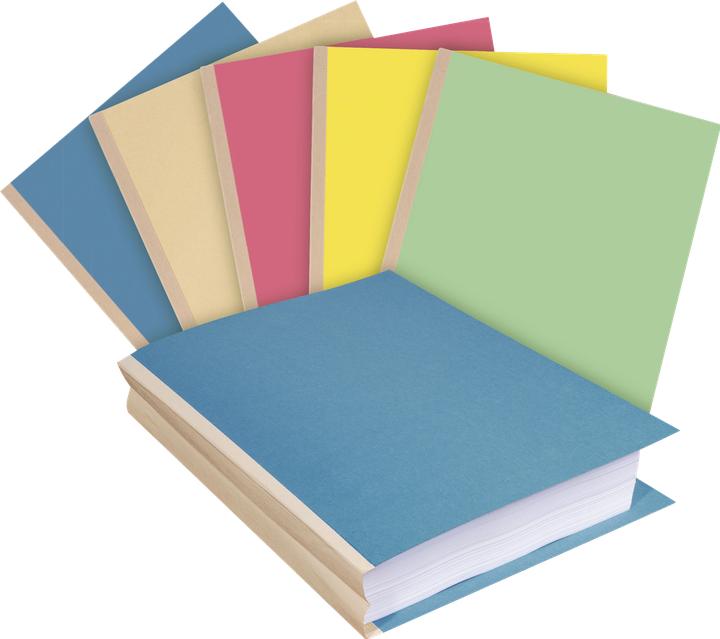 Image du produit Exacompta Fardes de classement - Couvertures de dossiers (A4, 80 x)