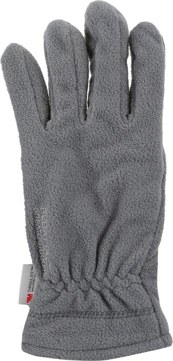 Produktbild Regatta Great Outdoors Erwachsene Kingsdale Handschuhe (S, M)