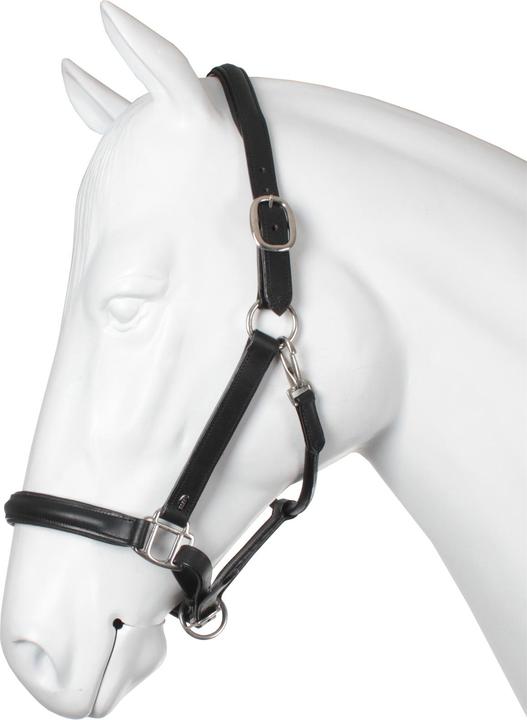 Horka Licol en cuir pour cheval
