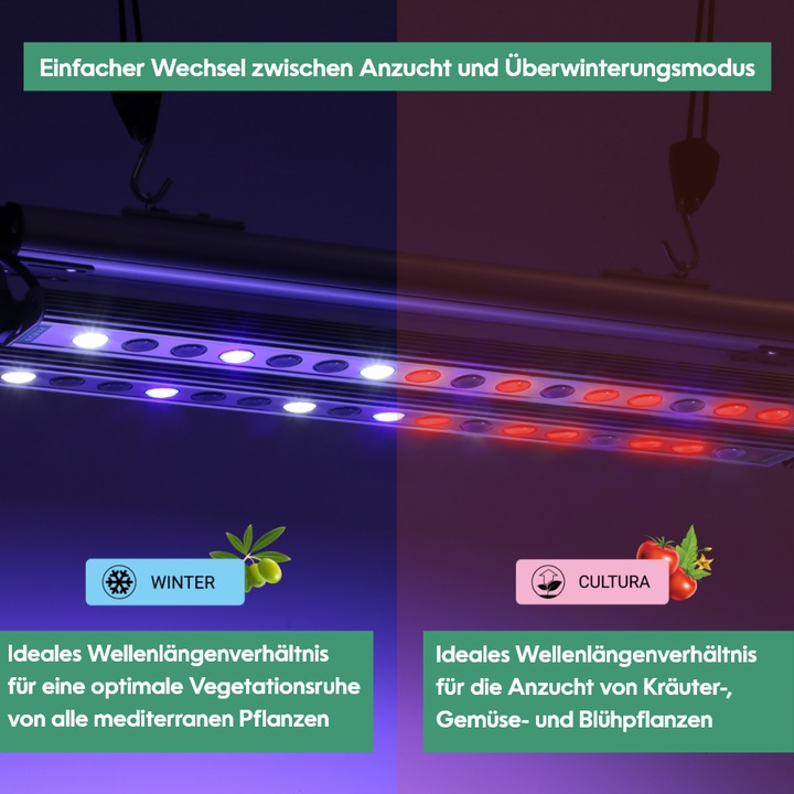 Actual product image Parus by Venso plant fitting GrowLight Quattro 60W, stimulation of photosynthesis and chlorophyll fo (LED, 245 V)