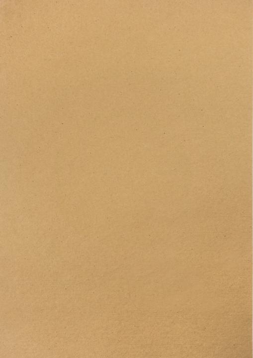 Produktbild MarpaJansen Vintage-Fotokarton "Winterzweige", 50 x 70 cm (230 g/m², 1 x)