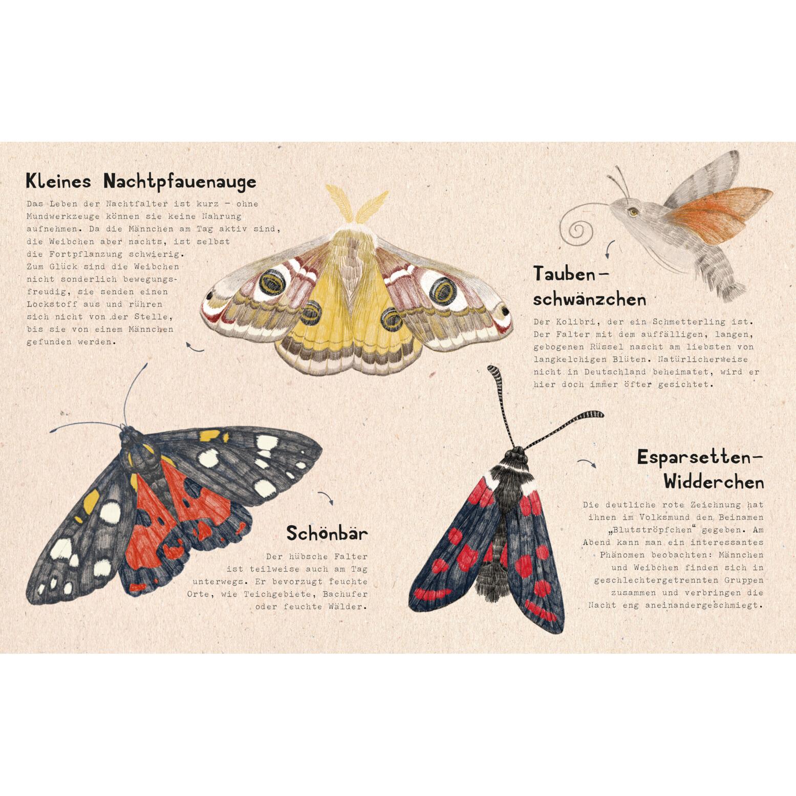 Thumbnail - Brunnen, Agenda, natur-verliebt (Deutsch)