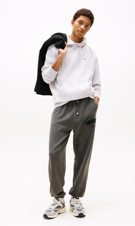 Actual product image Tommy Jeans Tjm Reg S Flag Hoodie (M)