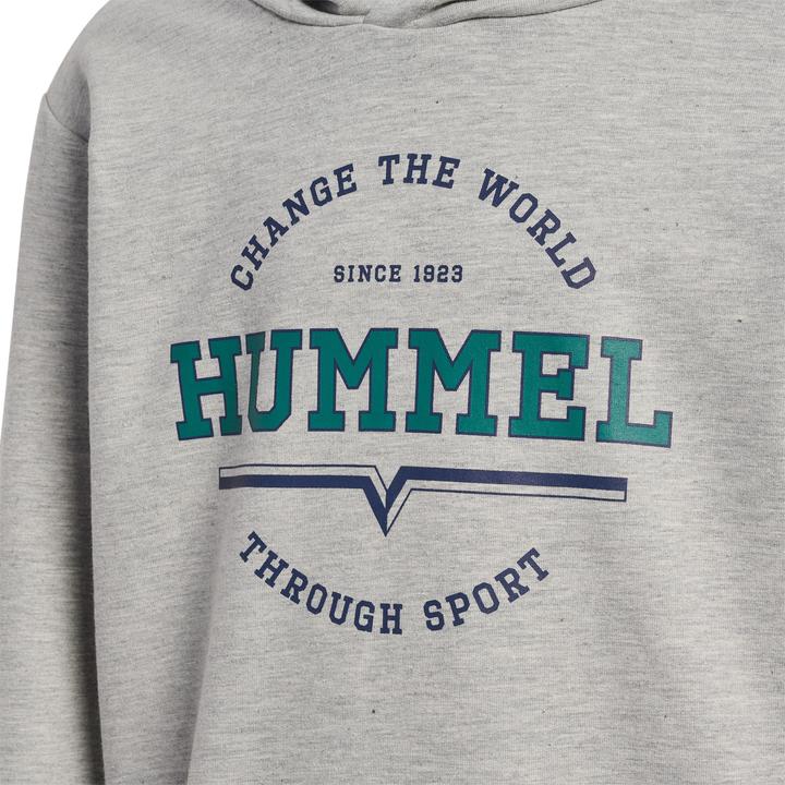 Produktbild hummel Hmlasher Hoodie (110)