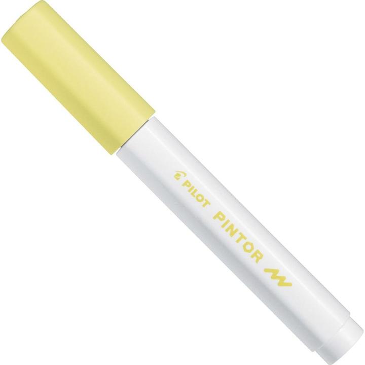 Actual product image Pilot Pintor fine pastel