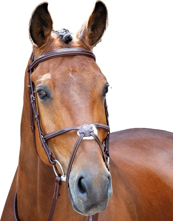 Image du produit Salisbury UTER871 P