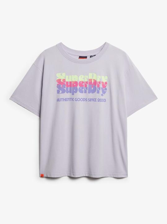 Produktbild Superdry Neonfarbenes T-Shirt in Übergrösse mit Regenbogen-Print (12XL)