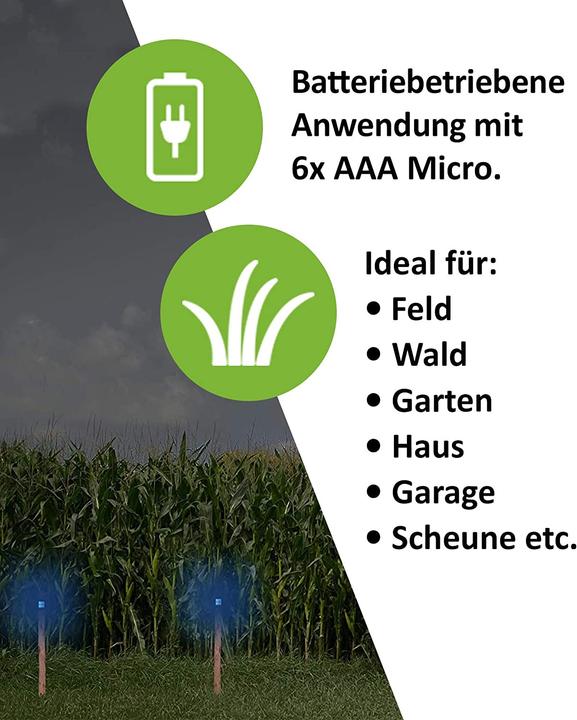 Actual product image Colibri Wildlife Diver