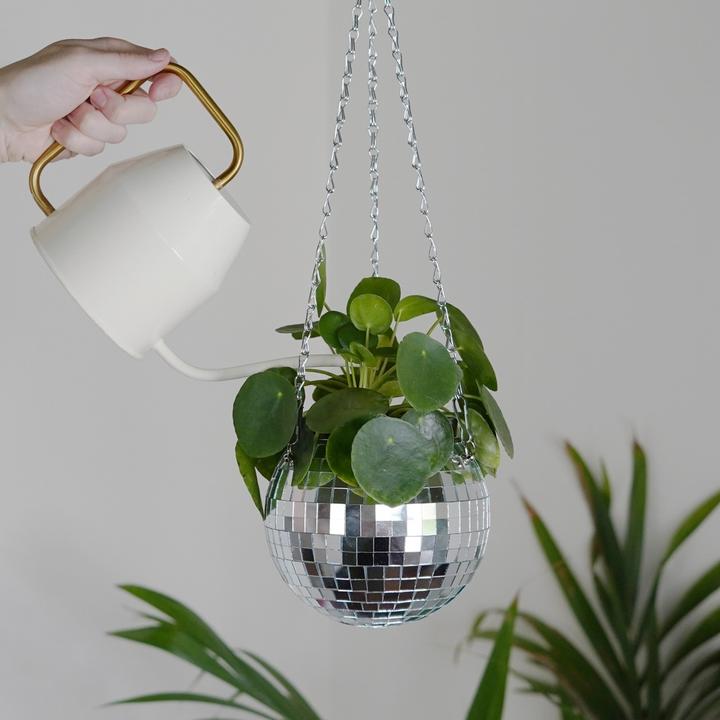 Image du produit Mags Fleurs disco