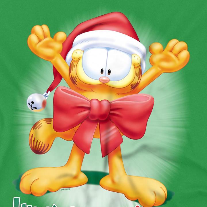 Produktbild Garfield Unwrap The Joy! TShirt (L)