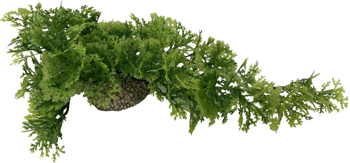 Produktbild EBI Aqua Della Hanging Moss (Höhle, sonstige Gegenstände)