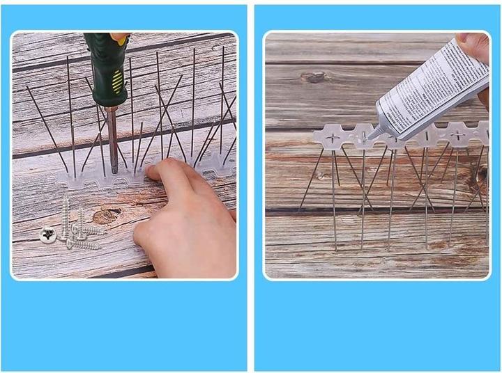 Image du produit Werkstein Pics de protection pour oiseaux