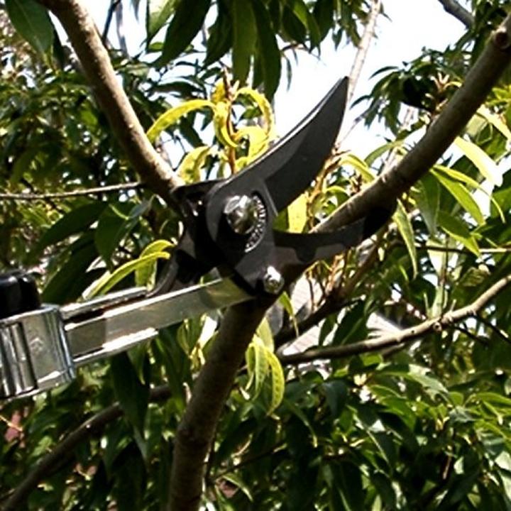 Productafbeelding ARS Telescoopschaar langarm 180-ZF 180-300 cm