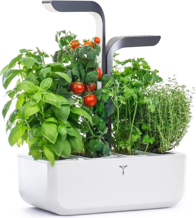 Produktbild Véritable Connect Indoor Garden (18 cm)