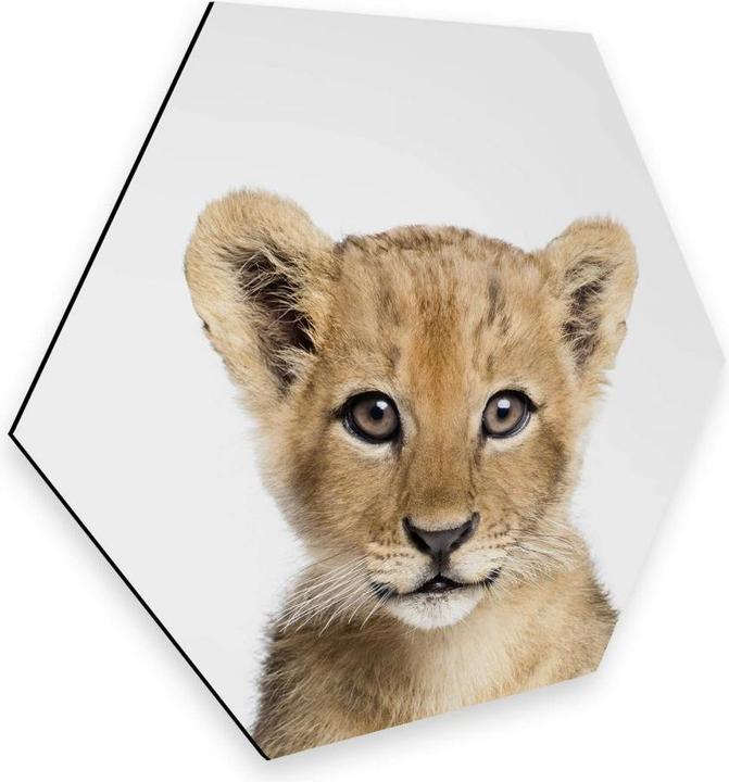 Image du produit Trenddeko Bébé lion (35 x 30 cm)