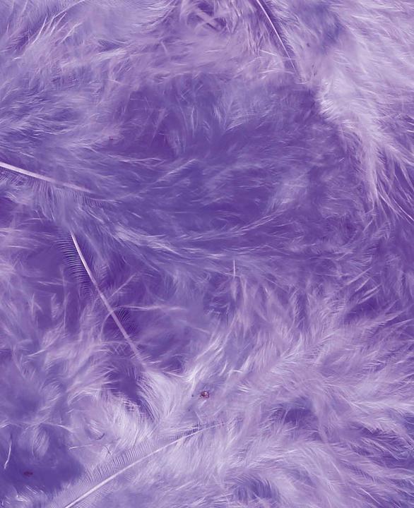 Actual product image I Am Creative Decorative feathers, natural feathers