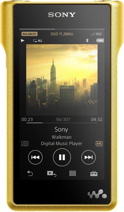 Sony Série Signature NW-WM1Z (256 Go)