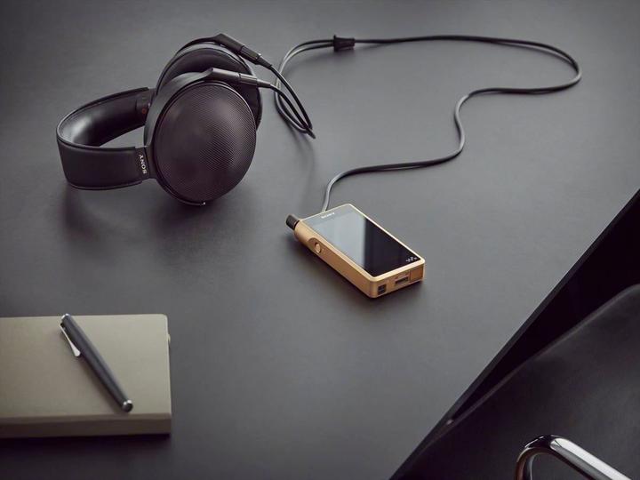 Image du produit Sony Série Signature NW-WM1Z (256 Go)