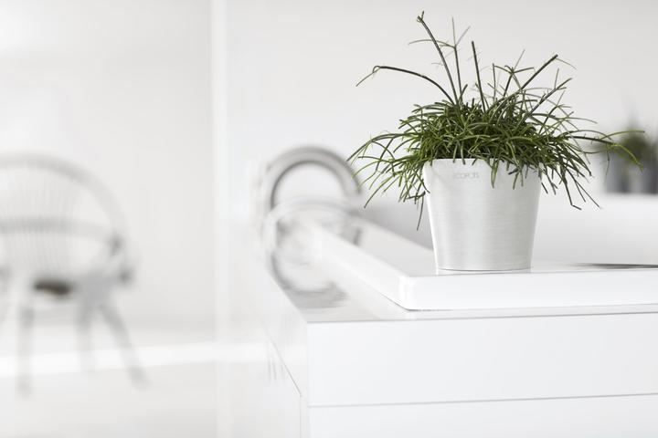 Produktbild Ecopots Amsterdam Mini (10.50 x 10.50 x 9.20 cm)