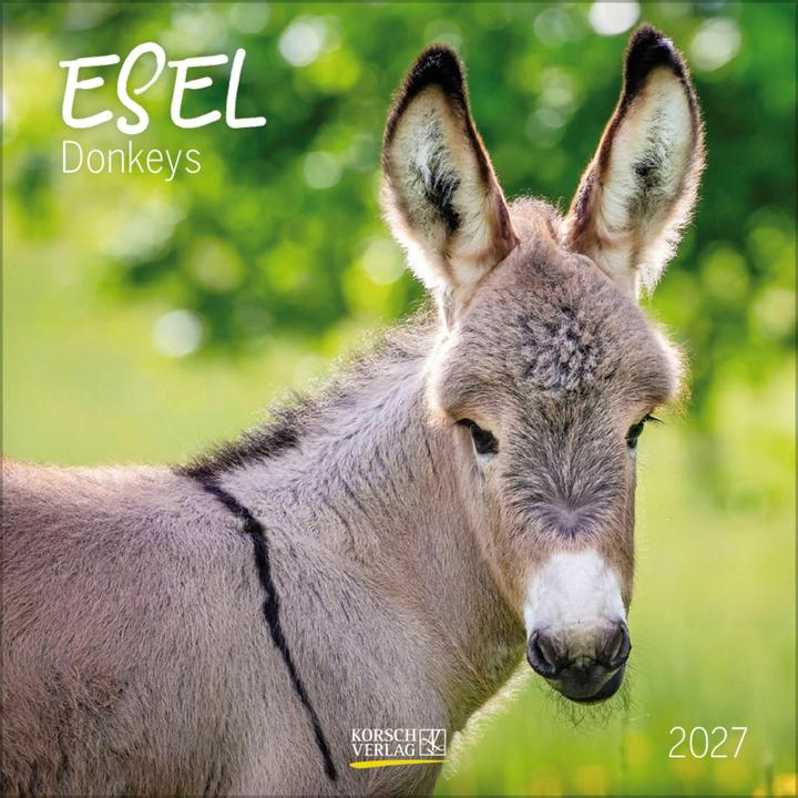 Produktbild Esel 2027