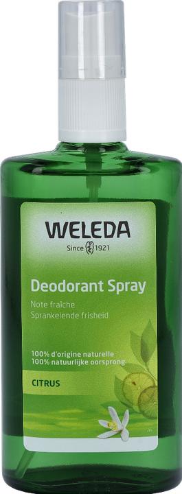 Produktbild Weleda Deodorant - 100 ml (Spray, 100 ml)