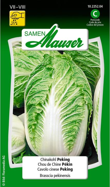 Image du produit Samen Mauser Chou chinois Pékin (Graines de légumes)