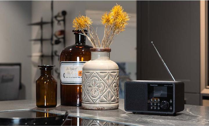 Image du produit Telestar DIRA M 1 A mobil (DAB+ DAB, FM, Radio Internet, Bluetooth, WiFi)