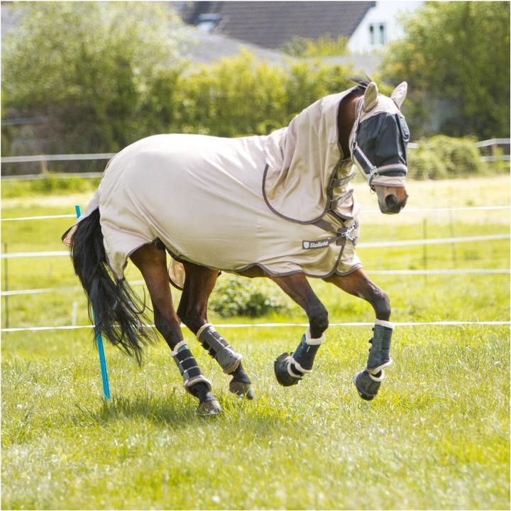 Actual product image Stallone Summer Guard fly mask