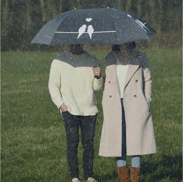 Produktbild Esschert Design Partnerschirm
