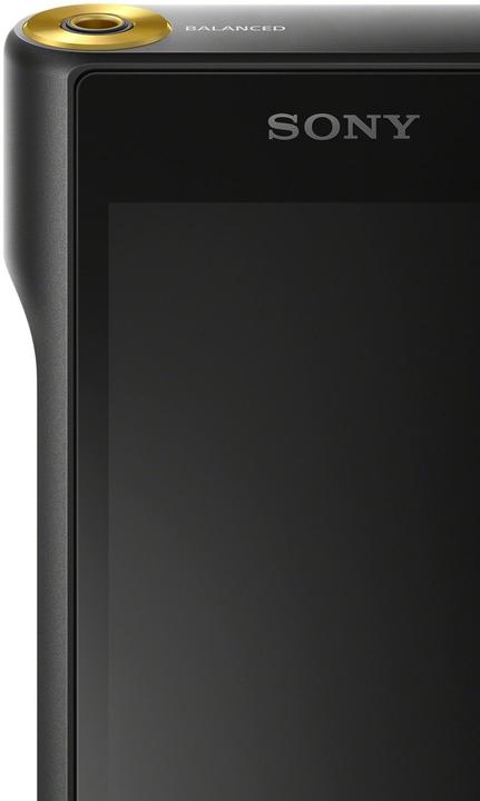 Actual product image Sony NW-WM1A Signature Series (128 GB)
