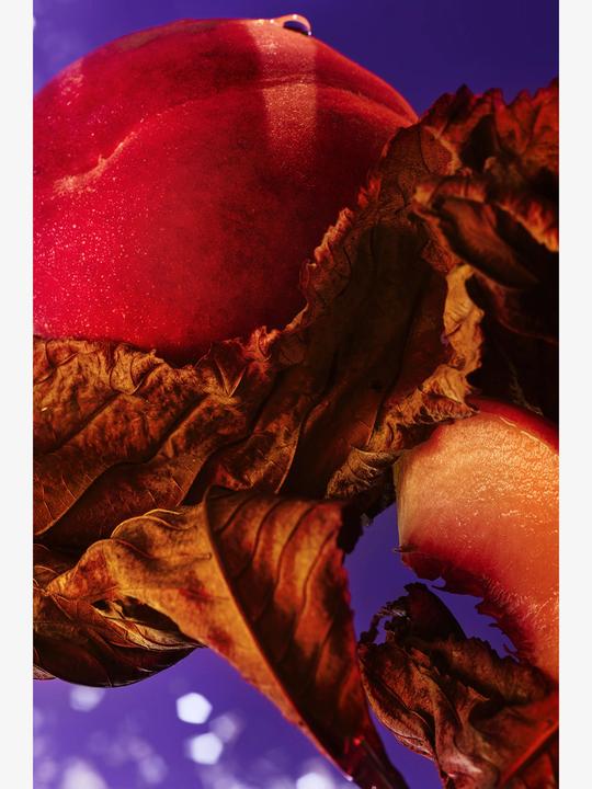 Produktbild Bulgari Allegra Fantasia Veneta (Eau de Parfum, 100 ml)