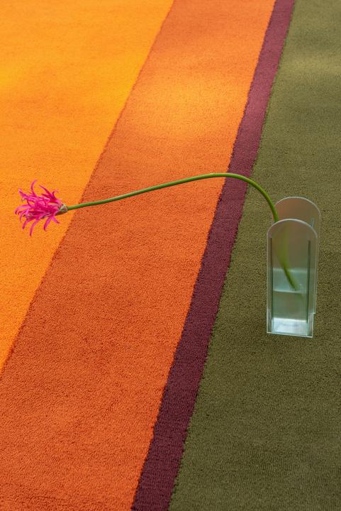 Immagine prodotto Brink & Campman Habitat Festival a righe (250 x 350 cm)