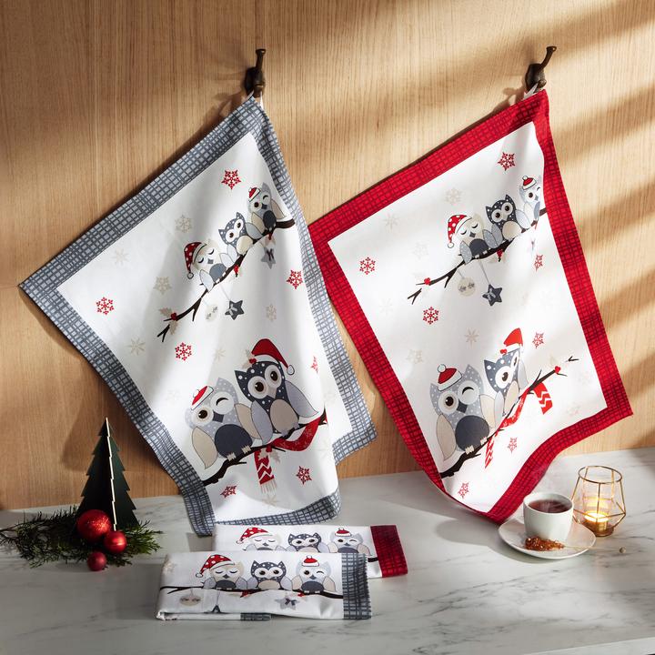 Image du produit Erwin Müller Geschirrtuch 4er-Pack (70 x 50 cm)