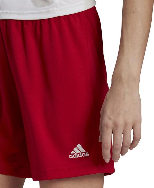 Image du produit adidas Short Entrada 22 Femmes (S)
