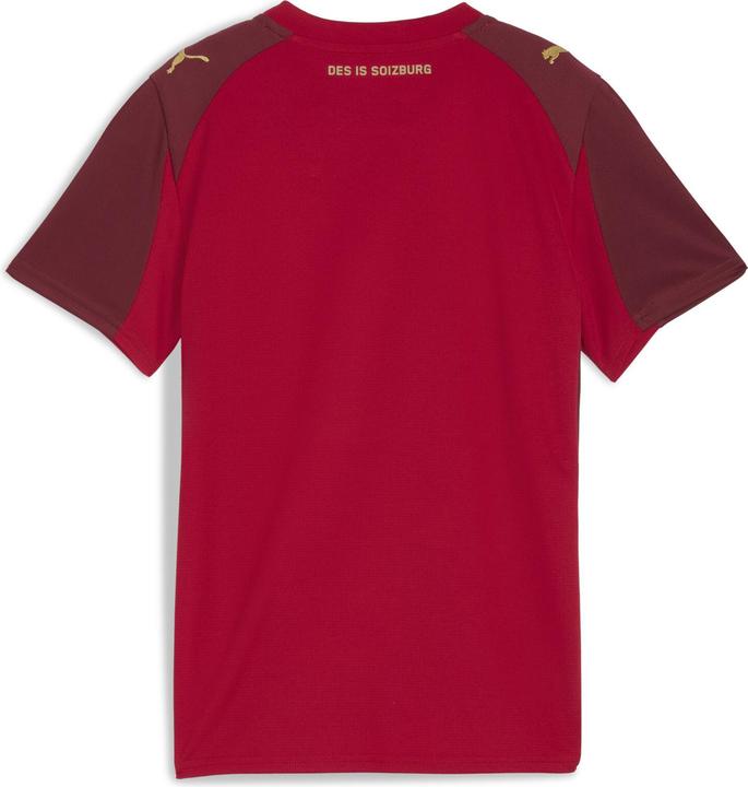 Produktbild Puma RBS Third Jersey Replica Jr (164)