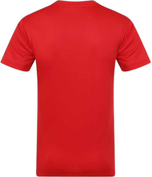 Produktbild Sunderland AFC TShirt Polyester (M)