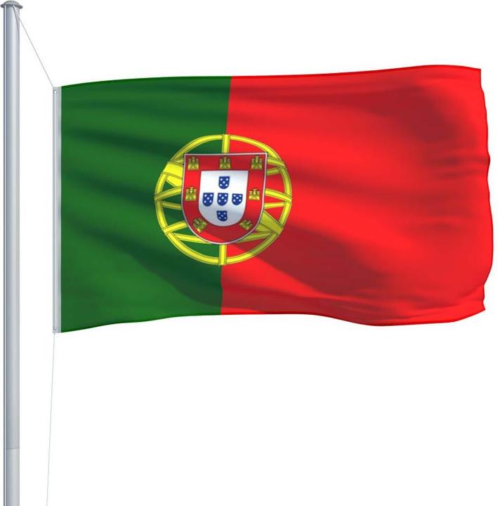 Actual product image vidaXL Portugiesische Flagge (90 x 150 cm)