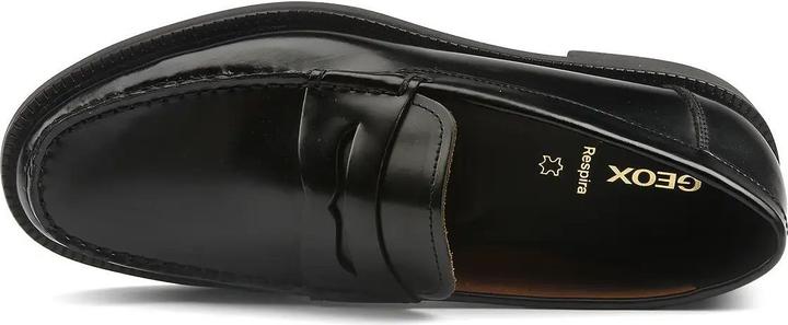 Image du produit Geox Recanati (41)