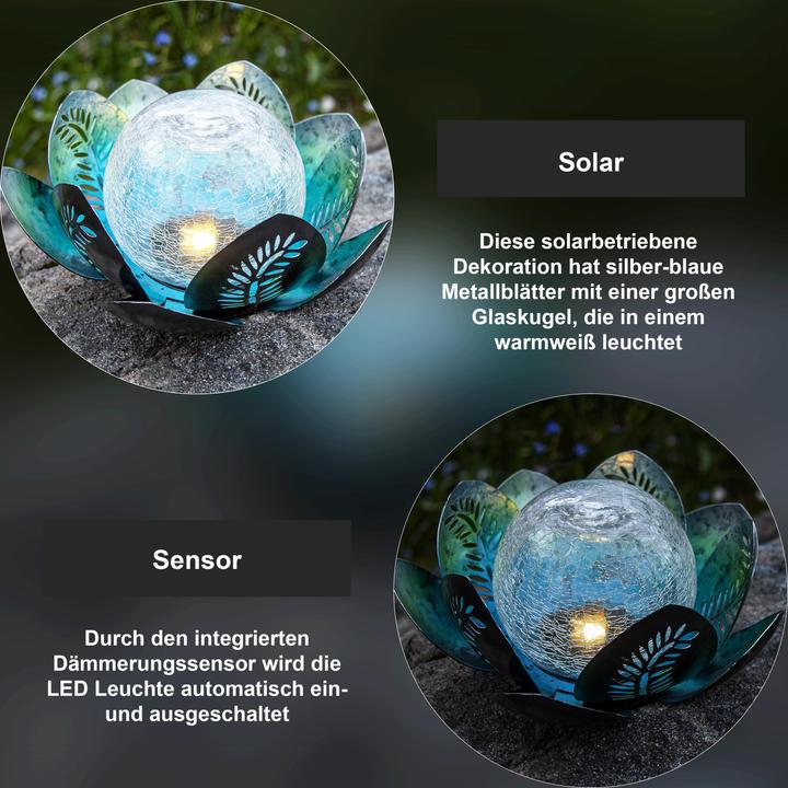 Image du produit Star Trading Solar Decoration Lilly (IP44)