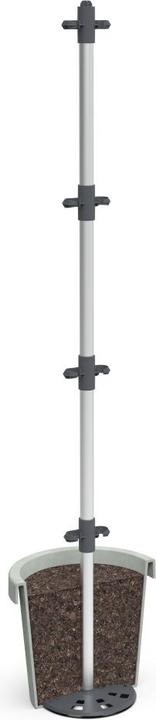 Productafbeelding Gusta Garden Kweekset TOMATO BUDDY Starter, set van 3