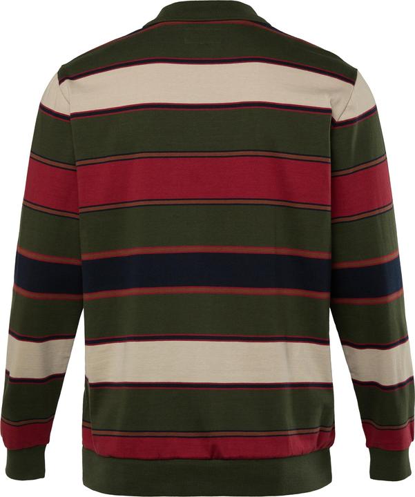 Produktbild Boston Park Langarm-Poloshirt, bis 68/70 (60)