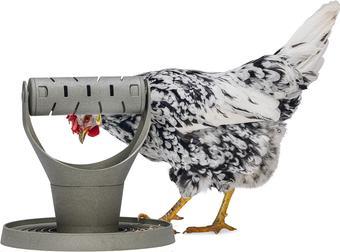 Actual product image Beeztees Feeding Station Chickens Play and Snack Tower, Grey