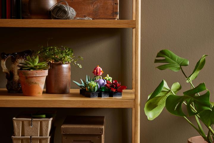 Image du produit LEGO Les succulentes (10309, LEGO Botanical, LEGO difficiles à trouver)
