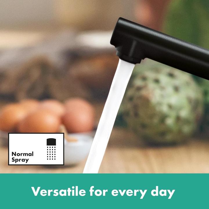 Actual product image hansgrohe Kitchen mixer with single-lever mixer Zesis M33 black 74802670