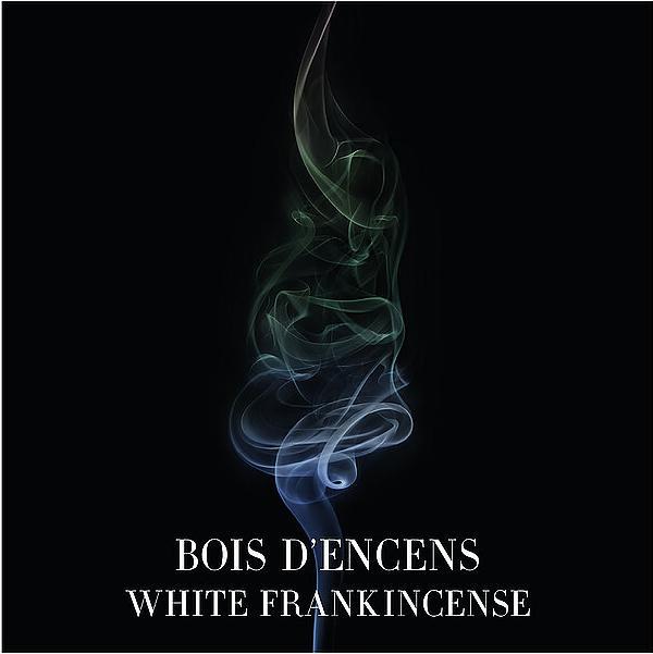 Actual product image Giorgio Armani Bois d'Encens (Eau de parfum, 100 ml)