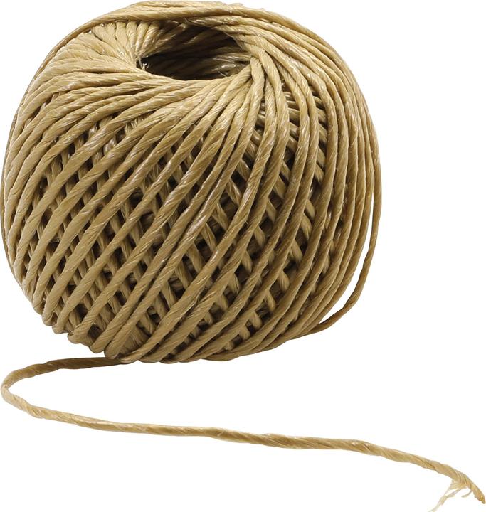 Actual product image BGS Package Cord 2 mm x 50 mm
