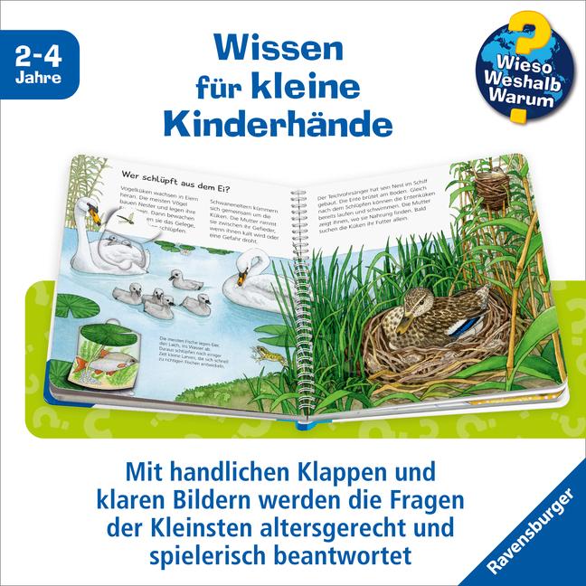 Produktbild Ravensburger Unsere Tierkinder (Deutsch, Frauke Nahrgang, Andrea Erne, 2018)