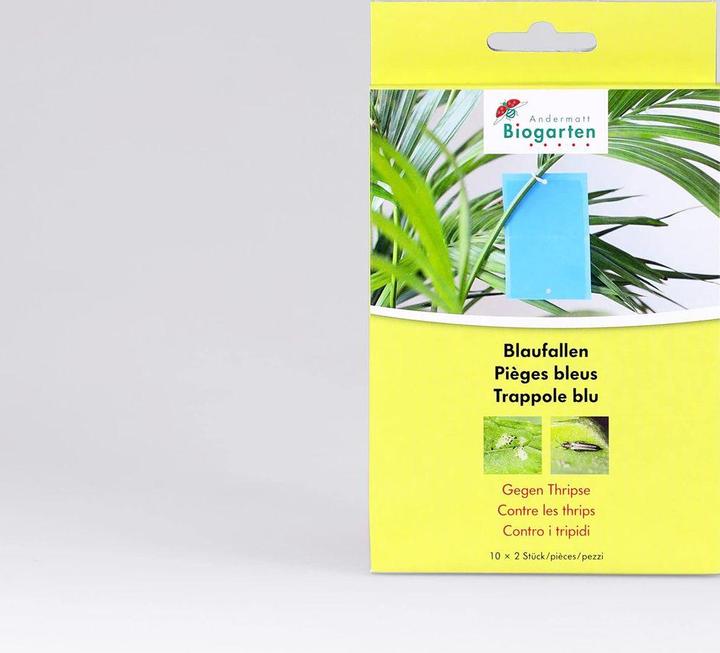 Actual product image Andermatt Biogarten Blueballs