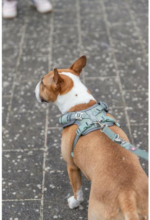 Image du produit Trixie Premium FlexMesh harness, wide fit,XS–S:40–57cm/15mm,sage (S, XS, Chien, Général)