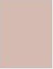 Immagine prodotto Shiseido Synchro Skin Seta Invisibile (Matte)